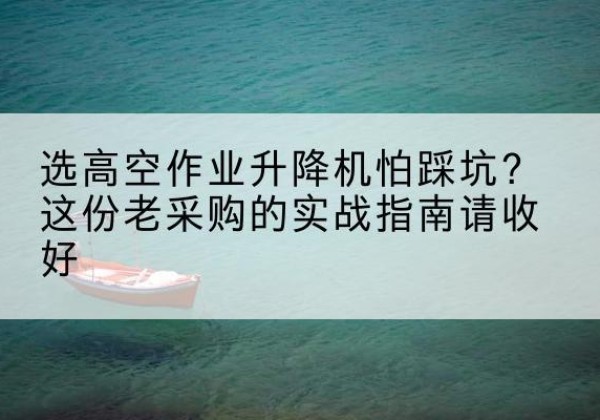 凌云高空作业升降机厂家推荐-选高空作业升降机怕踩坑？这份老采购的实战指南请收好