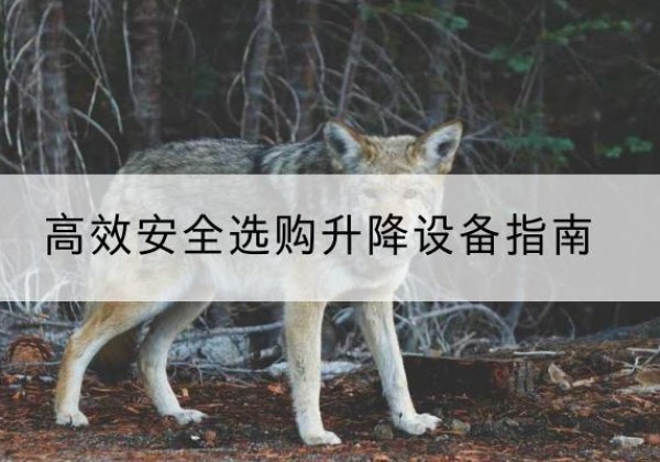 凌云升降货梯厂家推荐-*安全选购升降设备指南