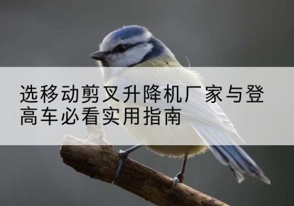 凌云电动升降机厂家-选移动剪叉升降机厂家与登高车必看实用指南