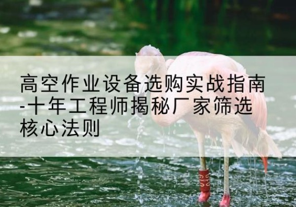 凌云剪叉式升降机厂家-高空作业设备选购实战指南-十年工程师揭秘厂家筛选核心法则
